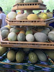 新疆吃瓜爷爷